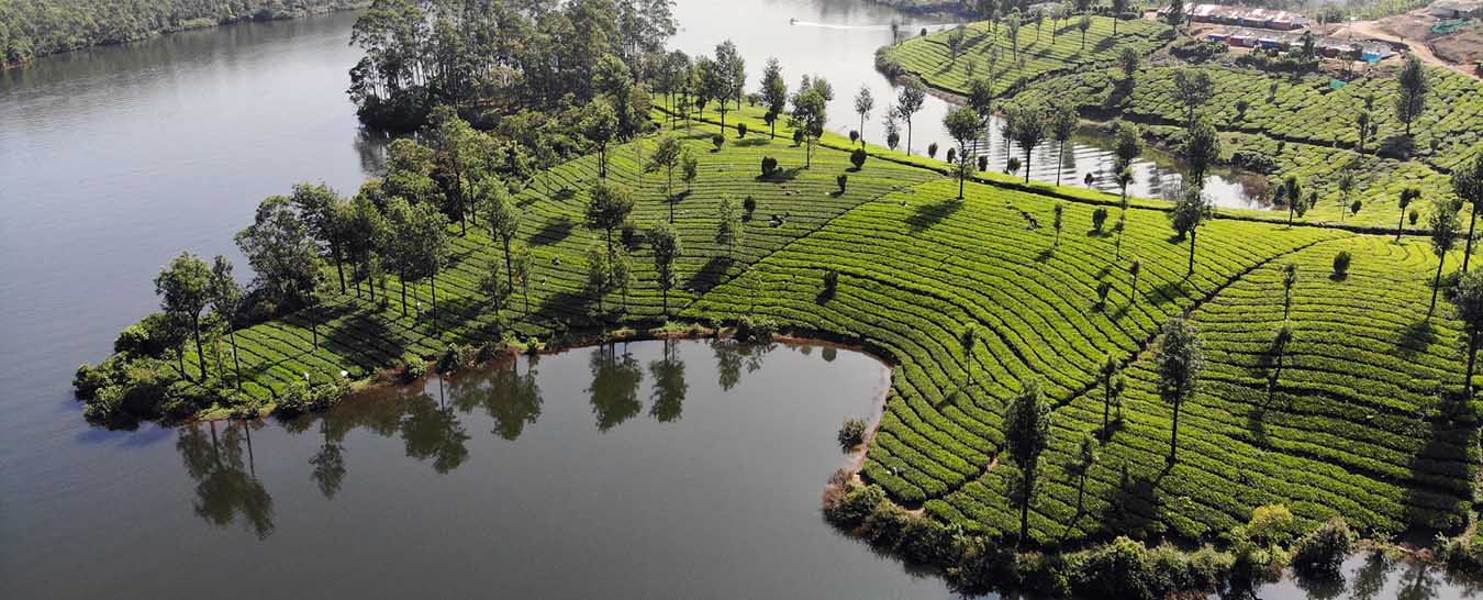 munnar