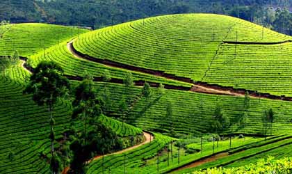 Munnar