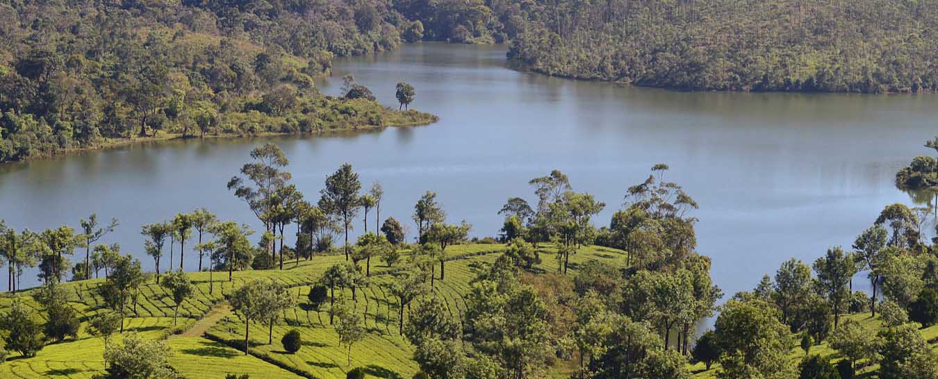 Munnar