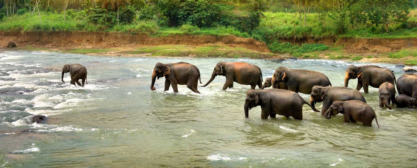 Thekkady